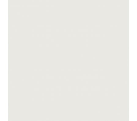 PISO ELIANE MATERIA CALCARIO PO 60X120 CM